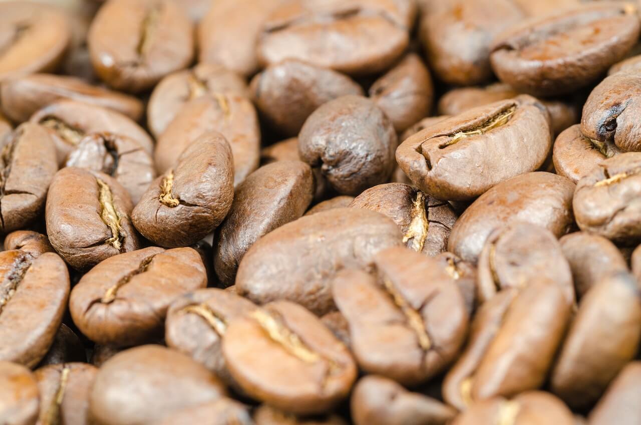 What is Maragogipe coffee ?
